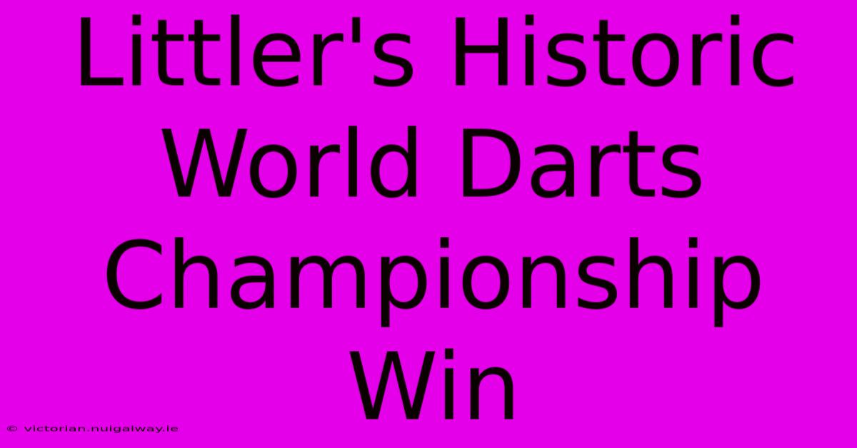 Littler's Historic World Darts Championship Win