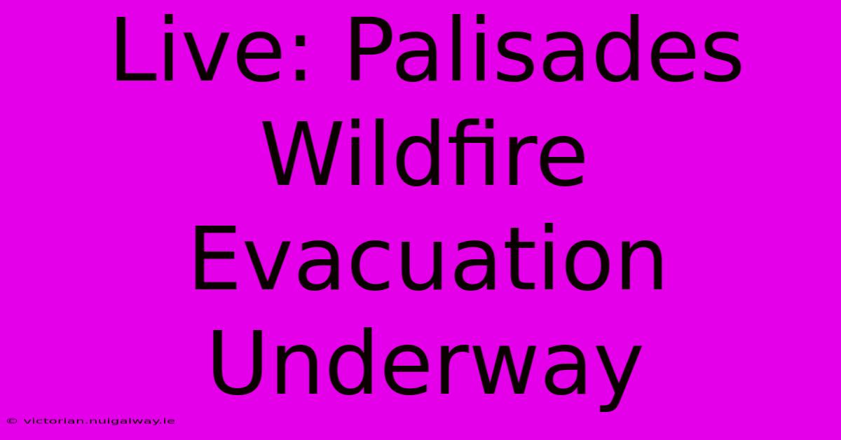 Live: Palisades Wildfire Evacuation Underway