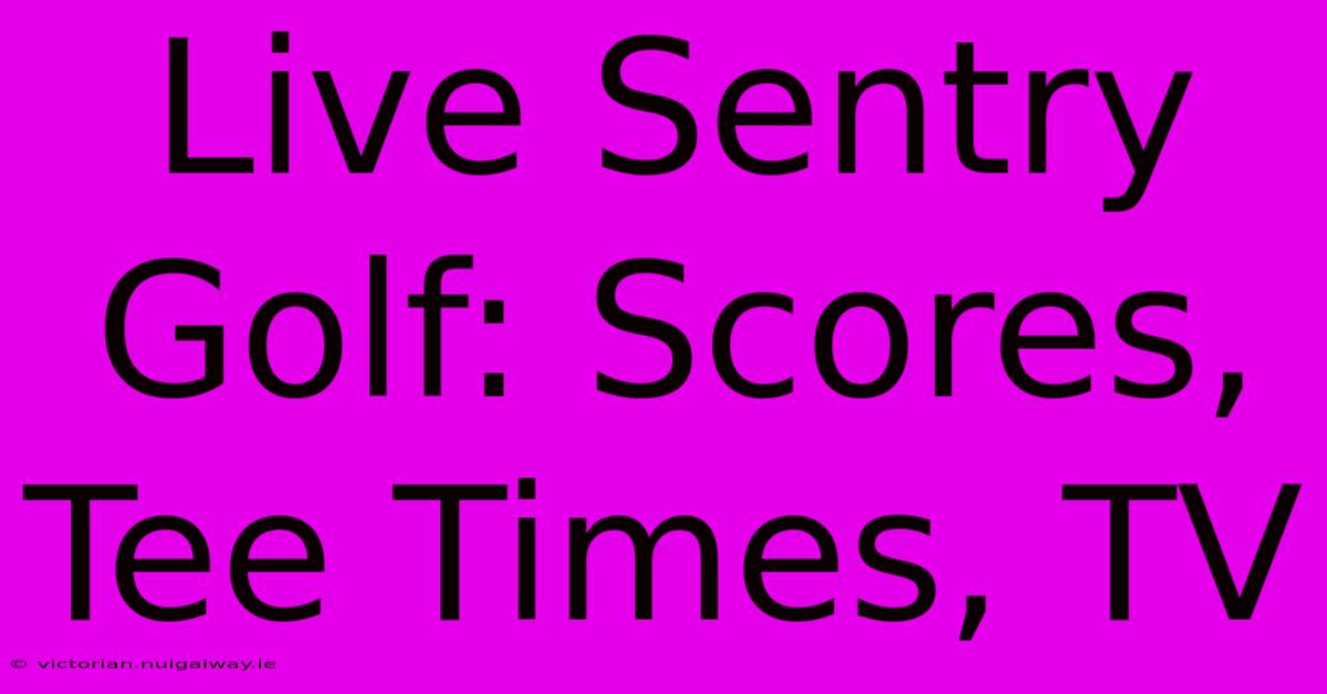 Live Sentry Golf: Scores, Tee Times, TV