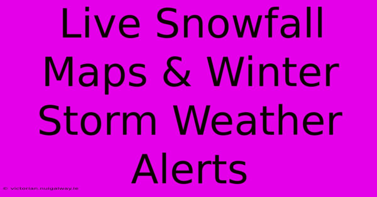 Live Snowfall Maps & Winter Storm Weather Alerts