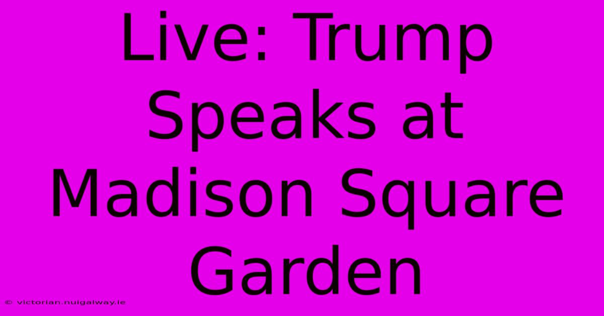 Live: Trump Speaks At Madison Square Garden