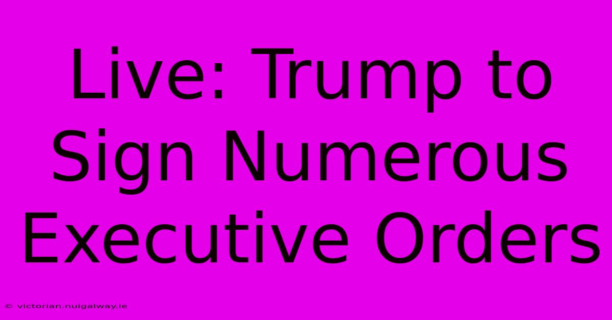 Live: Trump To Sign Numerous Executive Orders