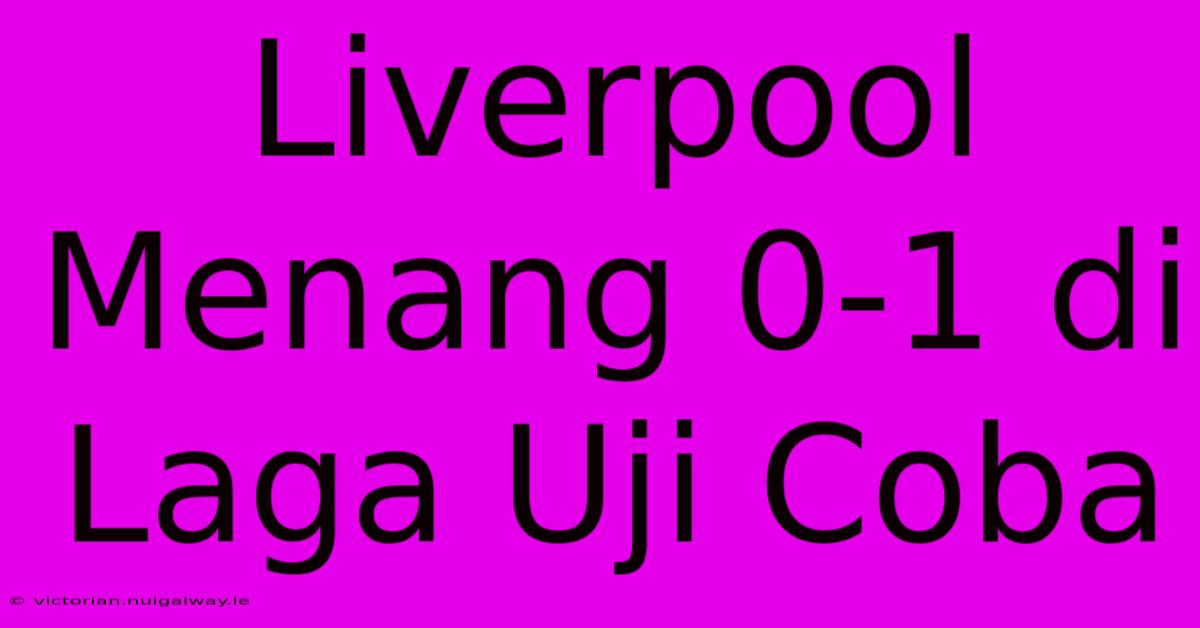 Liverpool Menang 0-1 Di Laga Uji Coba