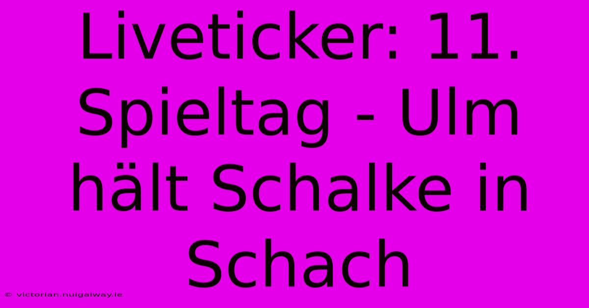 Liveticker: 11. Spieltag - Ulm Hält Schalke In Schach