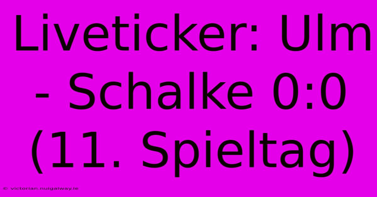 Liveticker: Ulm - Schalke 0:0 (11. Spieltag)