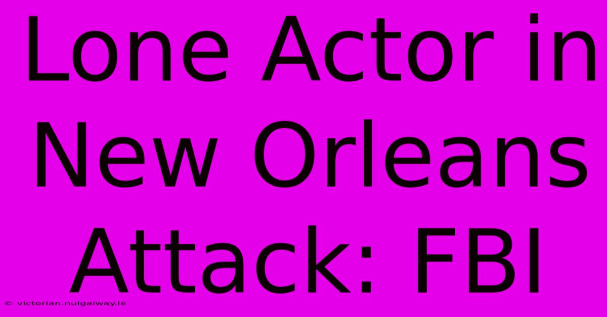 Lone Actor In New Orleans Attack: FBI