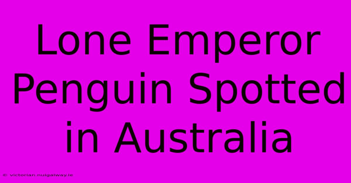 Lone Emperor Penguin Spotted In Australia