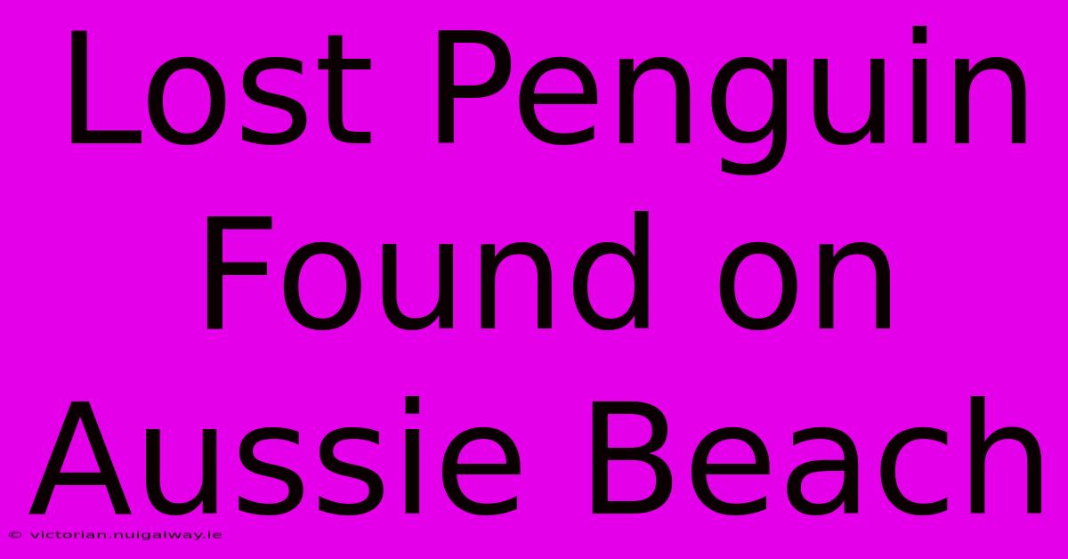 Lost Penguin Found On Aussie Beach