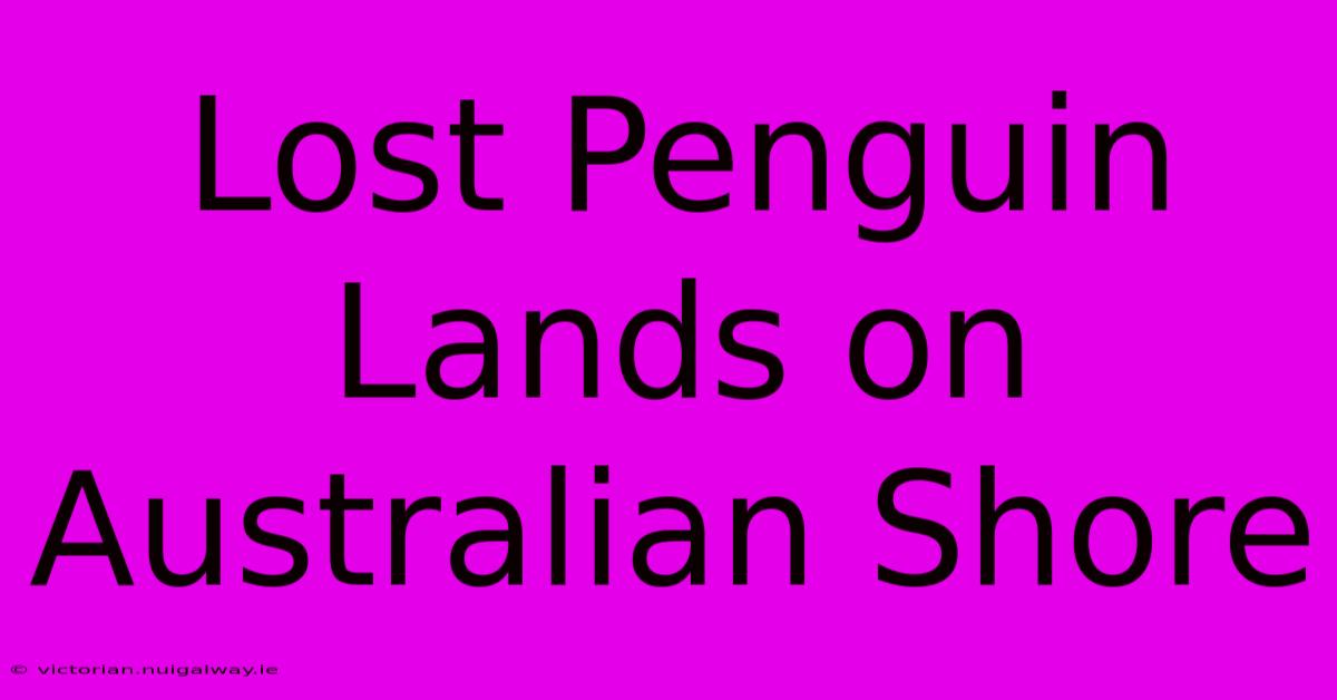 Lost Penguin Lands On Australian Shore