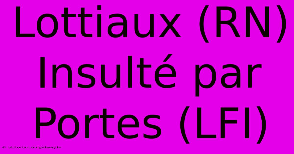 Lottiaux (RN) Insulté Par Portes (LFI)