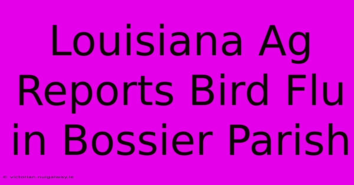 Louisiana Ag Reports Bird Flu In Bossier Parish