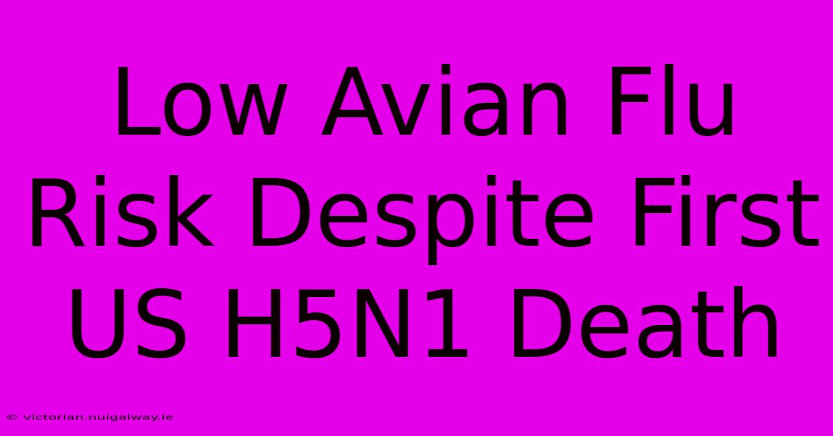 Low Avian Flu Risk Despite First US H5N1 Death