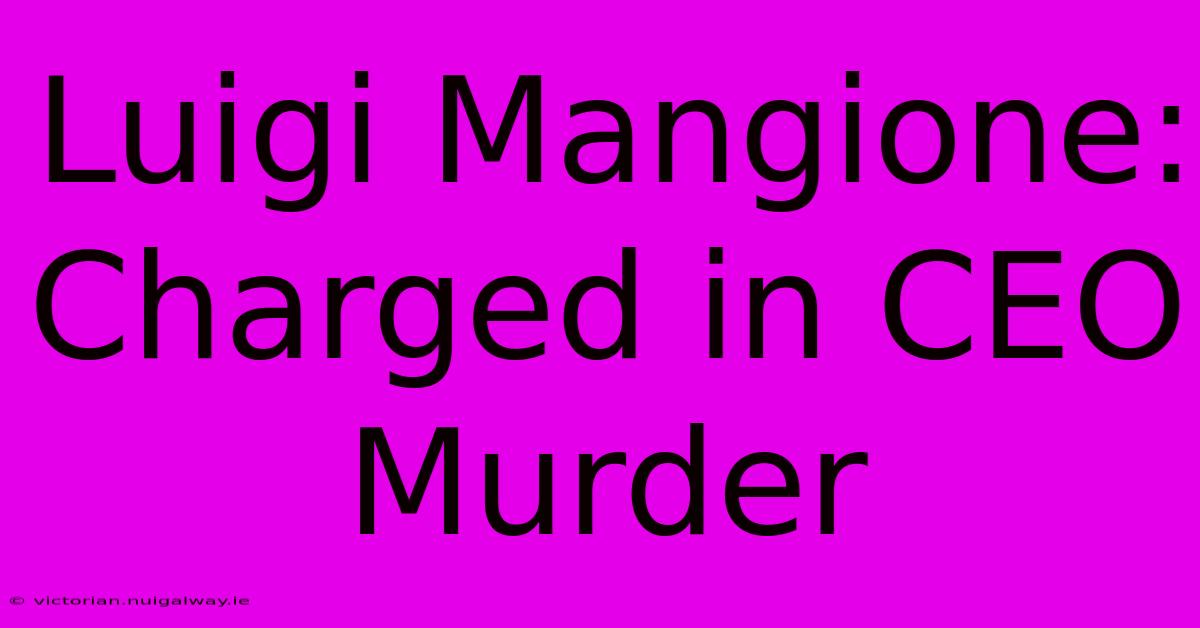 Luigi Mangione: Charged In CEO Murder