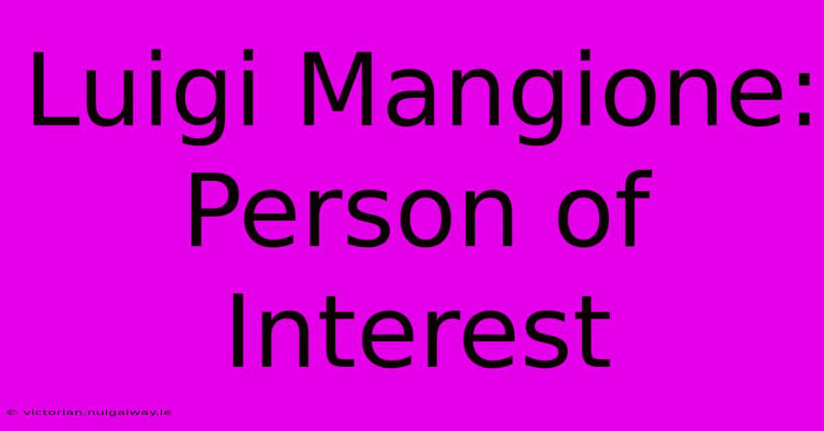 Luigi Mangione: Person Of Interest