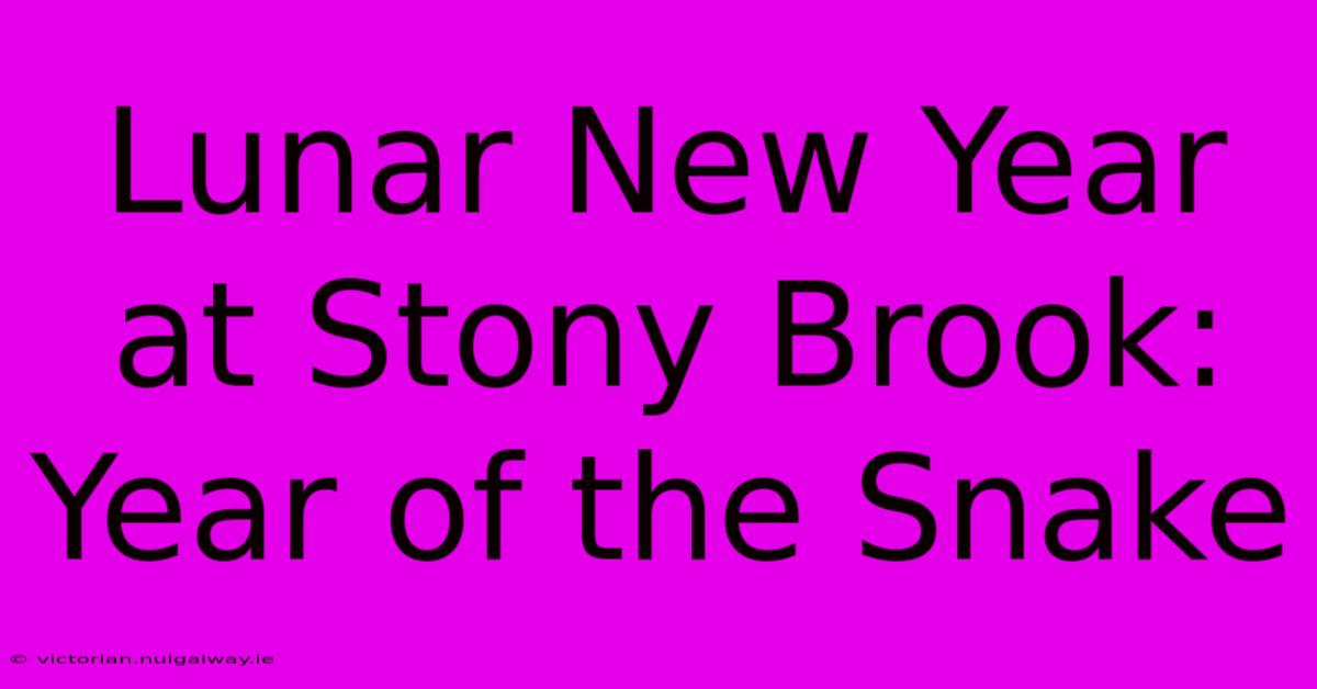 Lunar New Year At Stony Brook: Year Of The Snake