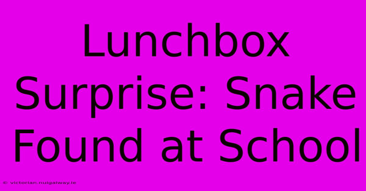 Lunchbox Surprise: Snake Found At School