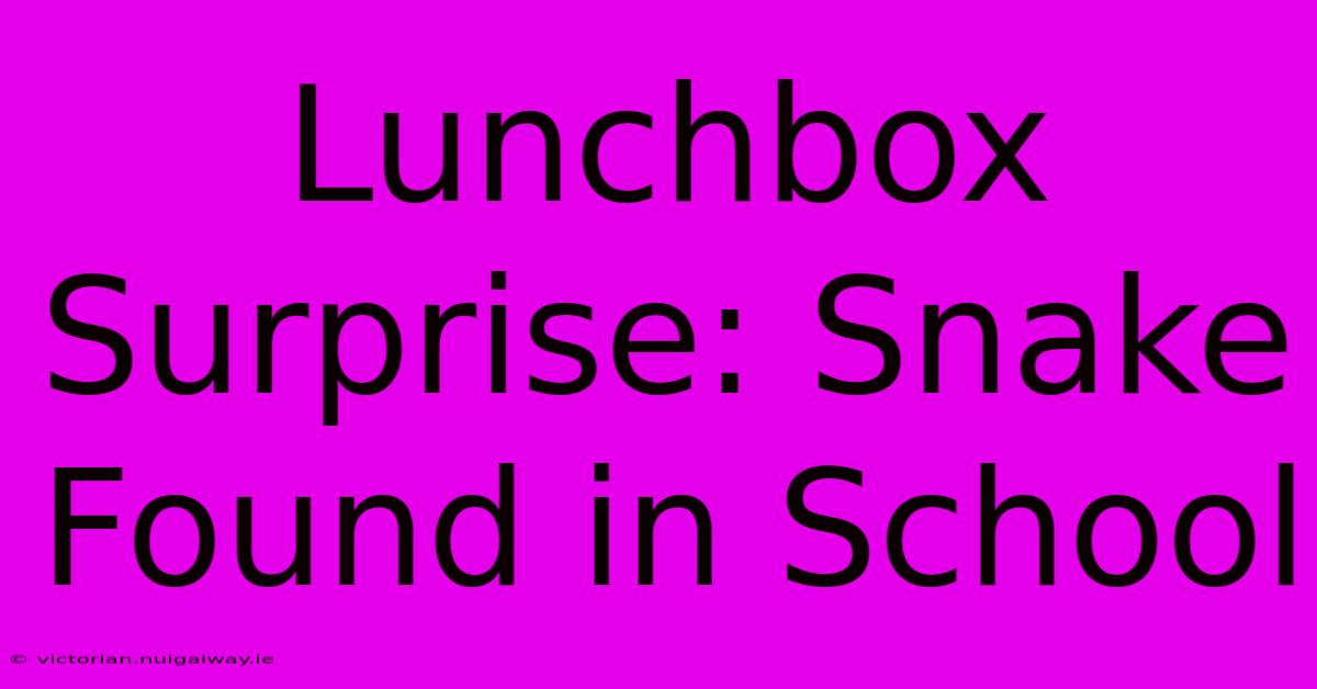 Lunchbox Surprise: Snake Found In School