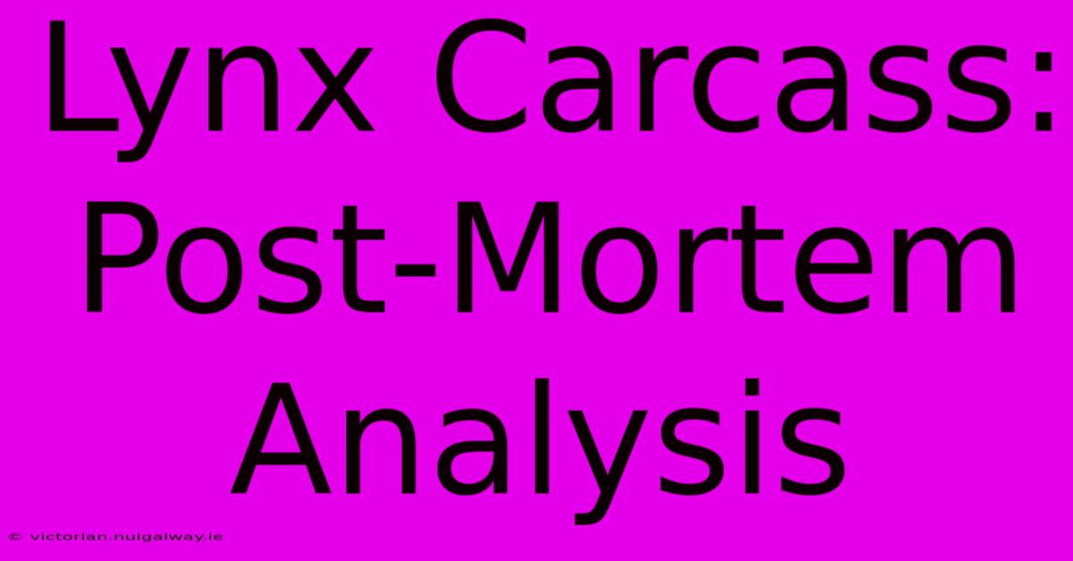 Lynx Carcass: Post-Mortem Analysis