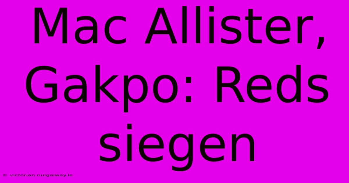 Mac Allister, Gakpo: Reds Siegen