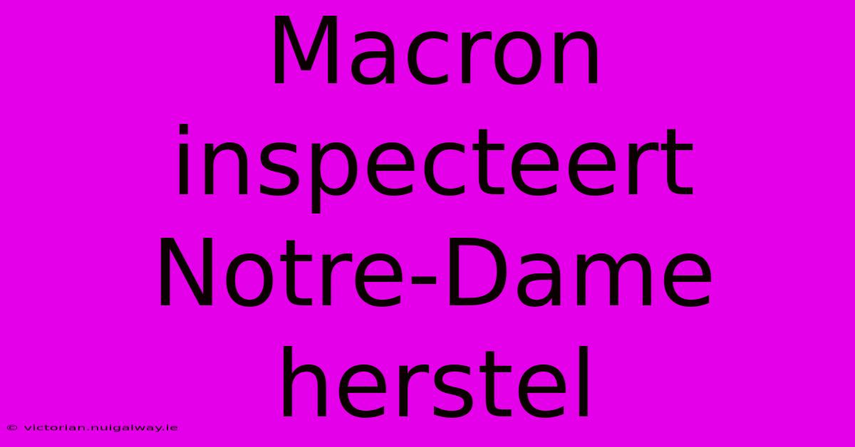 Macron Inspecteert Notre-Dame Herstel