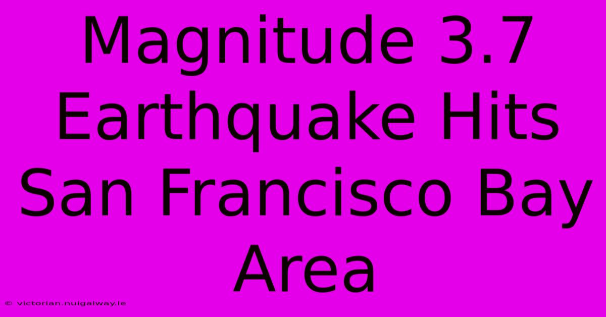 Magnitude 3.7 Earthquake Hits San Francisco Bay Area