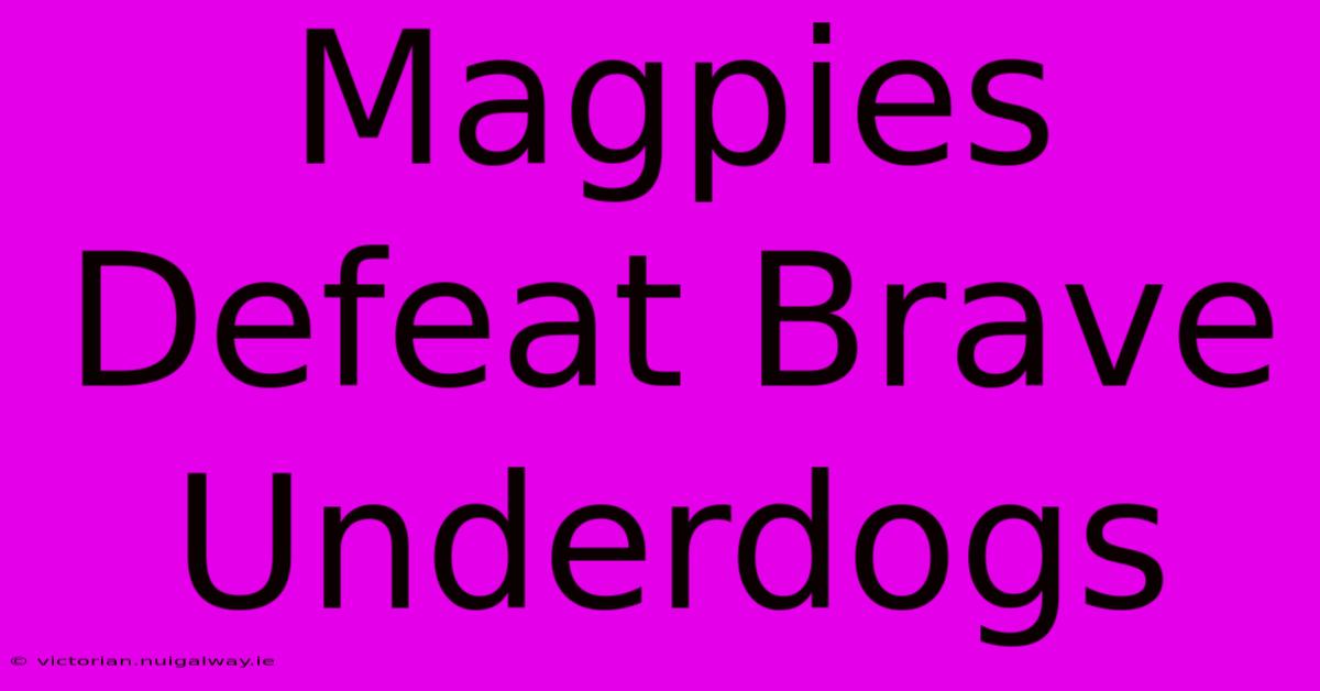 Magpies Defeat Brave Underdogs