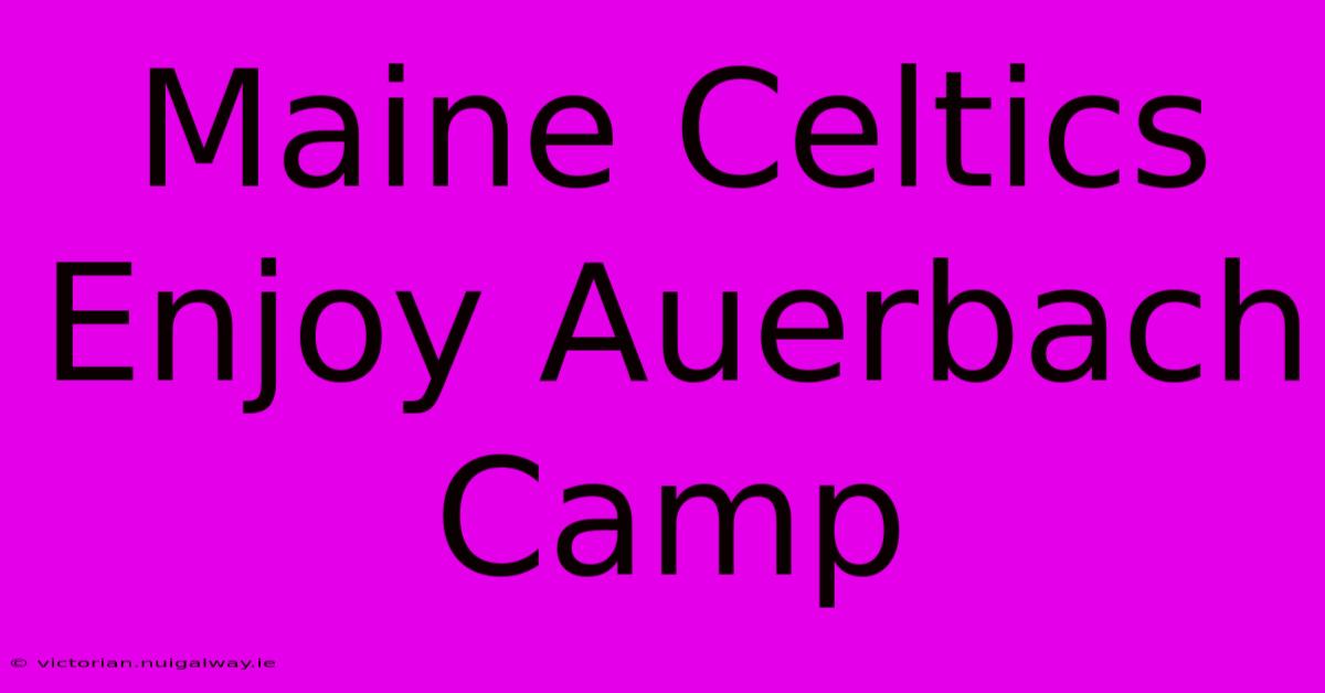 Maine Celtics Enjoy Auerbach Camp