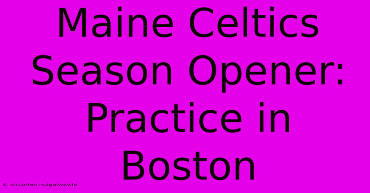 Maine Celtics Season Opener: Practice In Boston