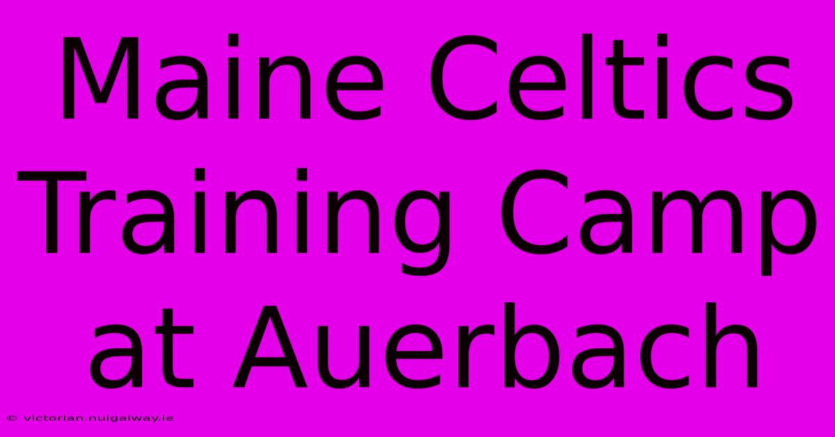 Maine Celtics Training Camp At Auerbach