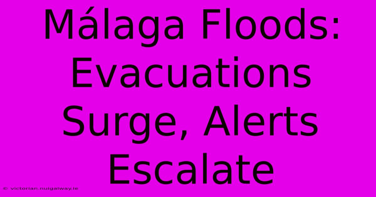 Málaga Floods: Evacuations Surge, Alerts Escalate