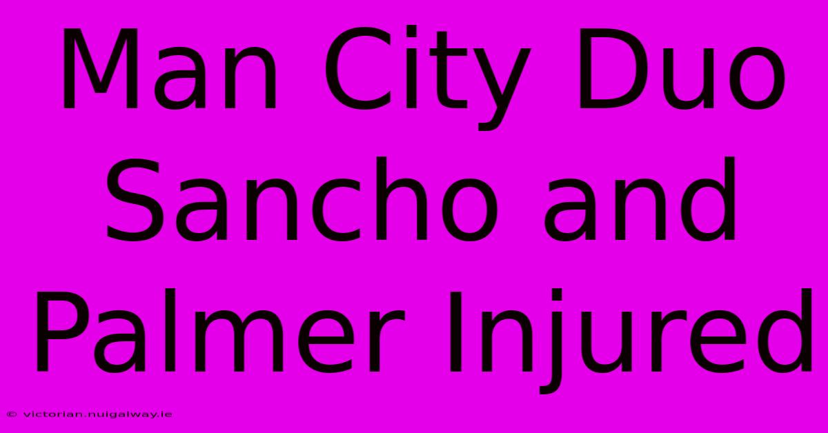 Man City Duo Sancho And Palmer Injured