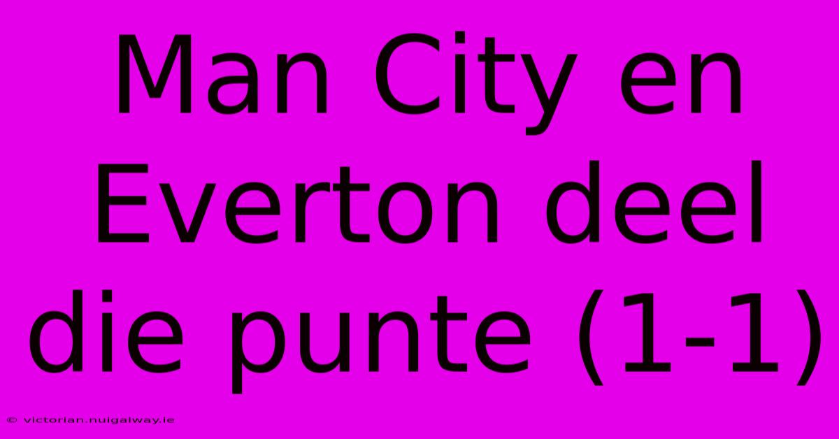 Man City En Everton Deel Die Punte (1-1)