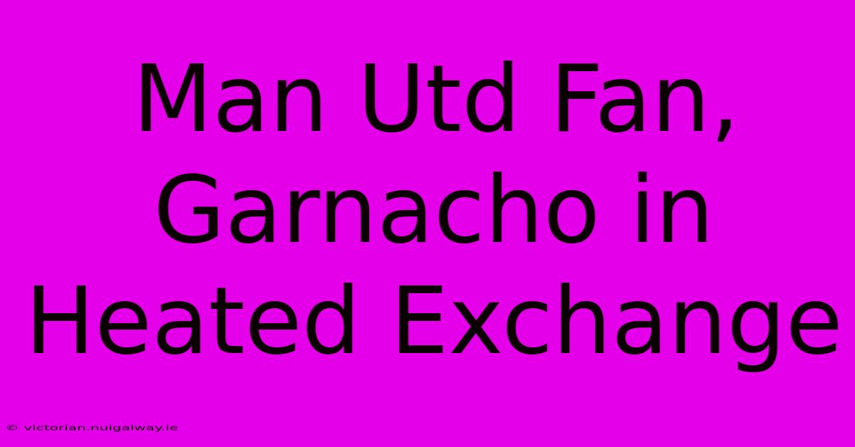 Man Utd Fan, Garnacho In Heated Exchange