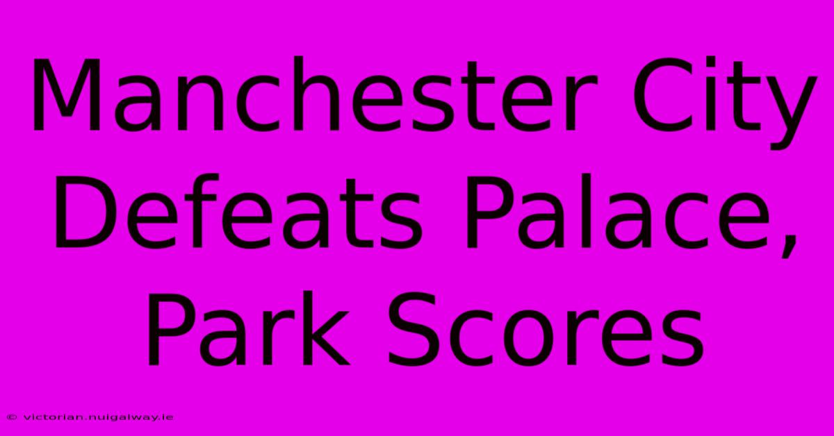 Manchester City Defeats Palace, Park Scores