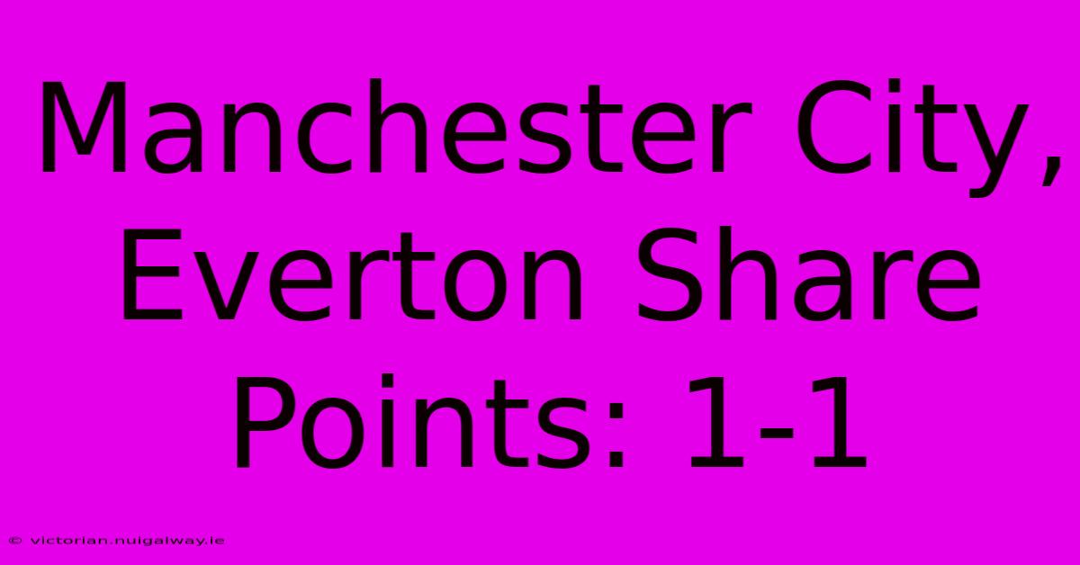 Manchester City, Everton Share Points: 1-1