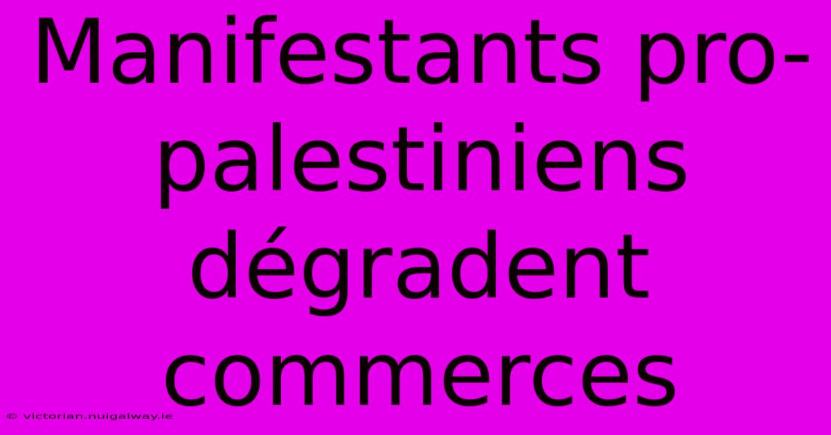 Manifestants Pro-palestiniens Dégradent Commerces