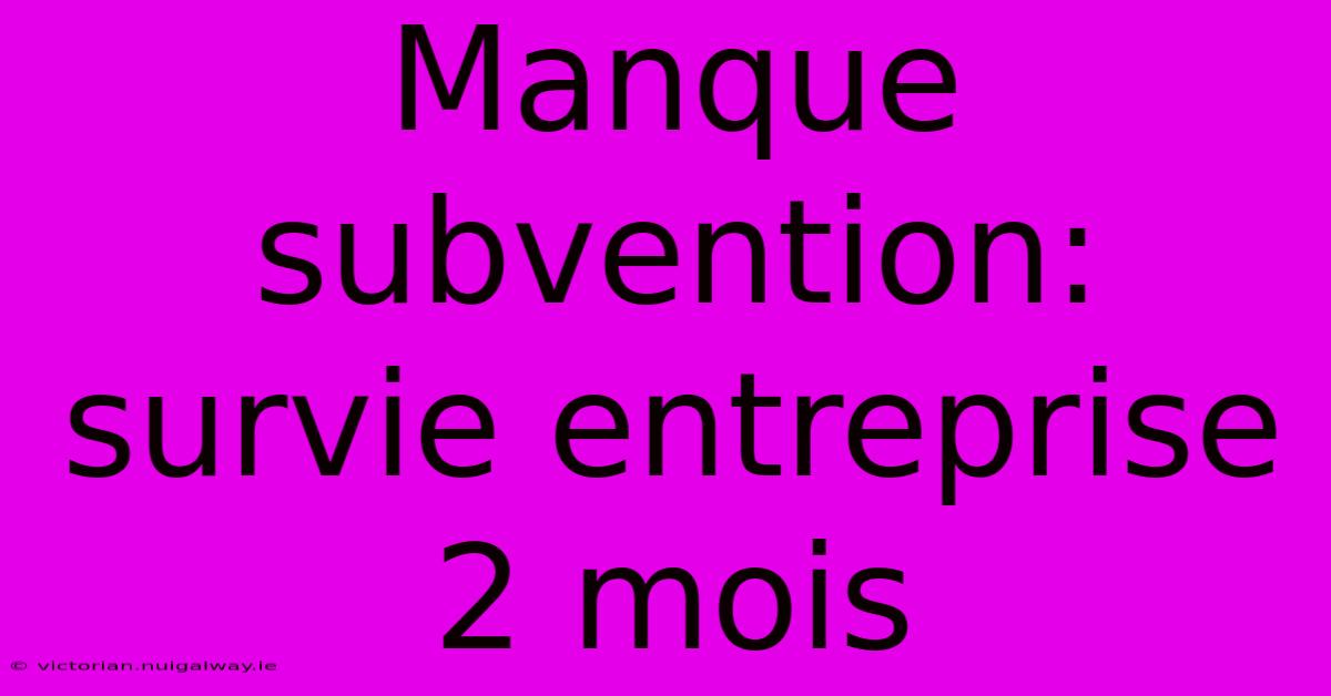 Manque Subvention: Survie Entreprise 2 Mois