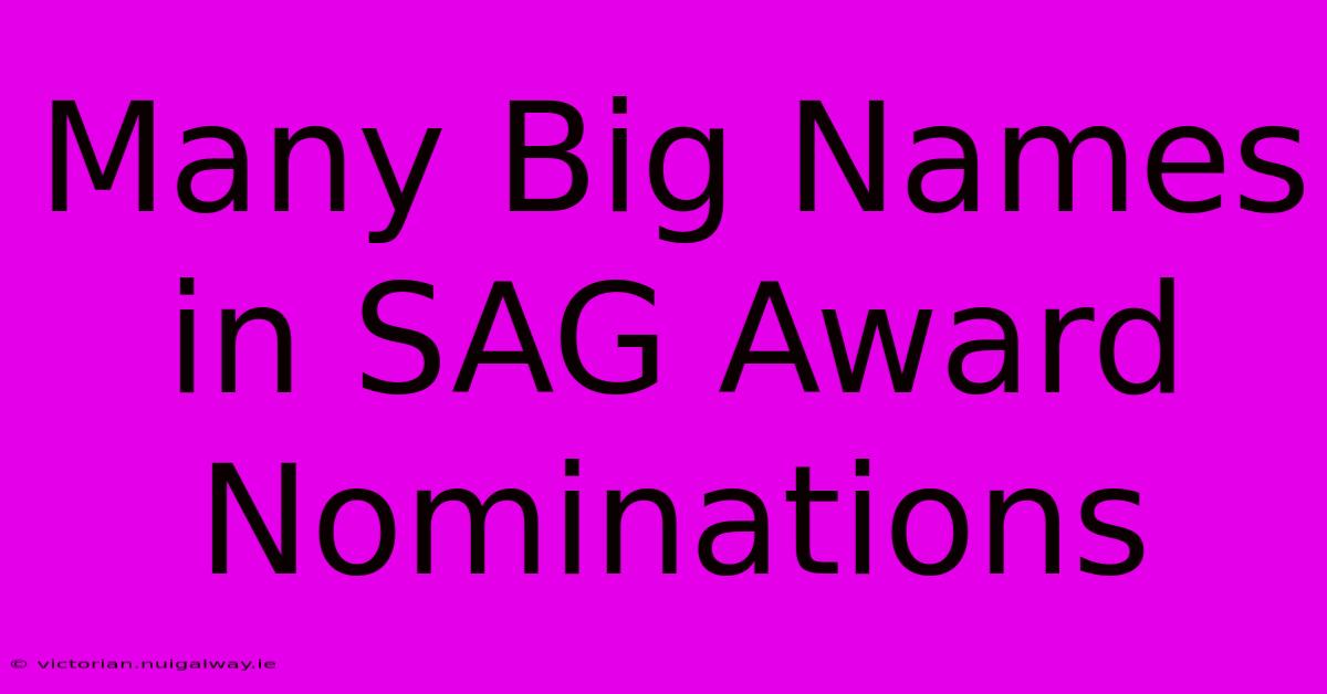 Many Big Names In SAG Award Nominations