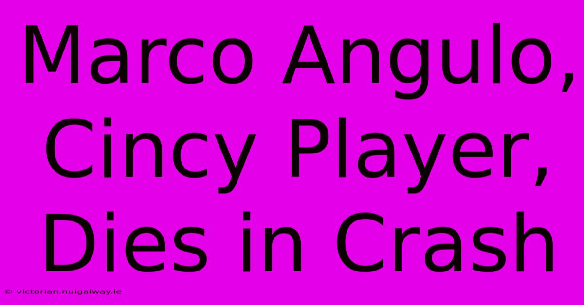 Marco Angulo, Cincy Player, Dies In Crash