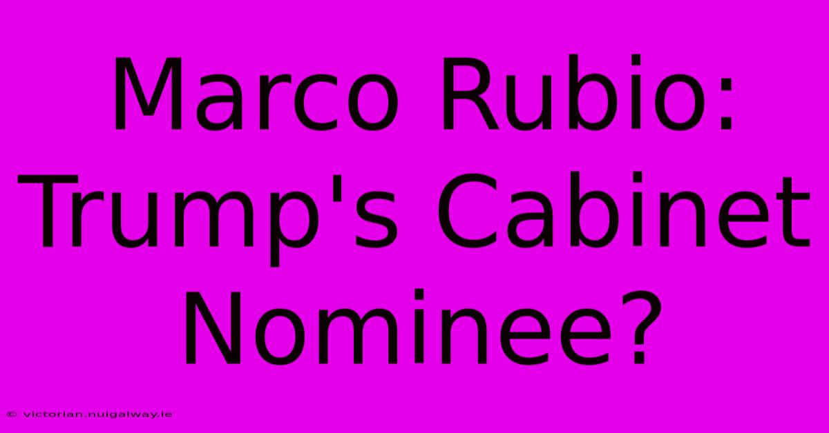 Marco Rubio: Trump's Cabinet Nominee?