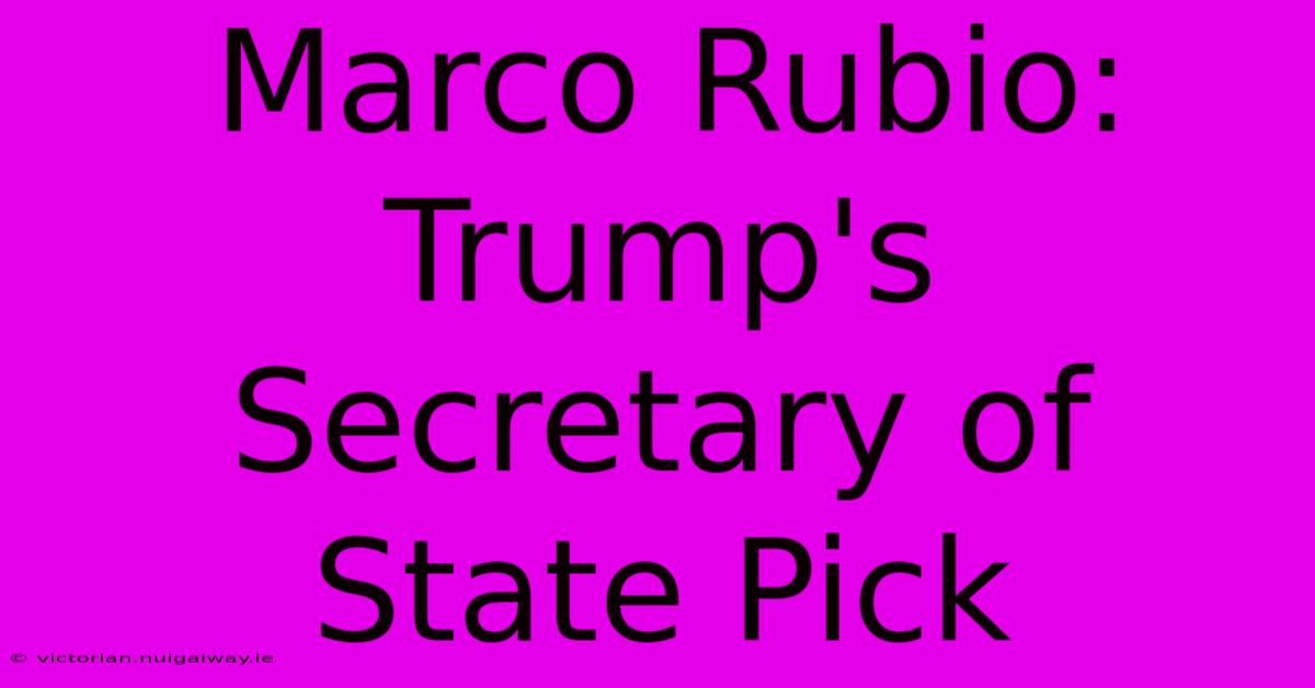 Marco Rubio: Trump's Secretary Of State Pick