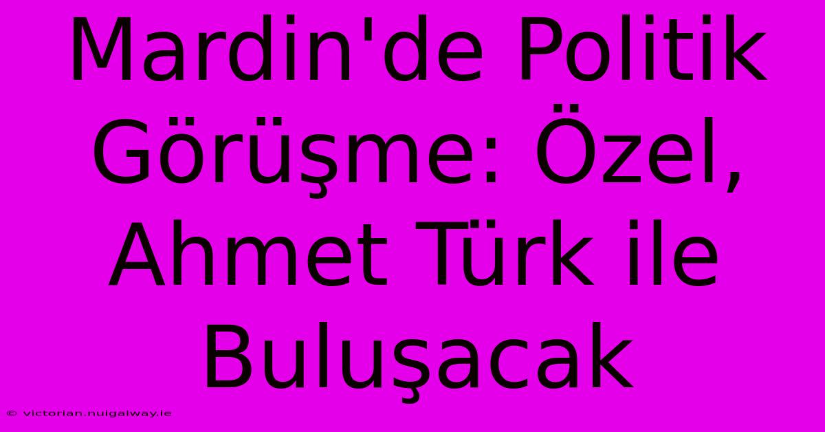 Mardin'de Politik Görüşme: Özel, Ahmet Türk Ile Buluşacak 