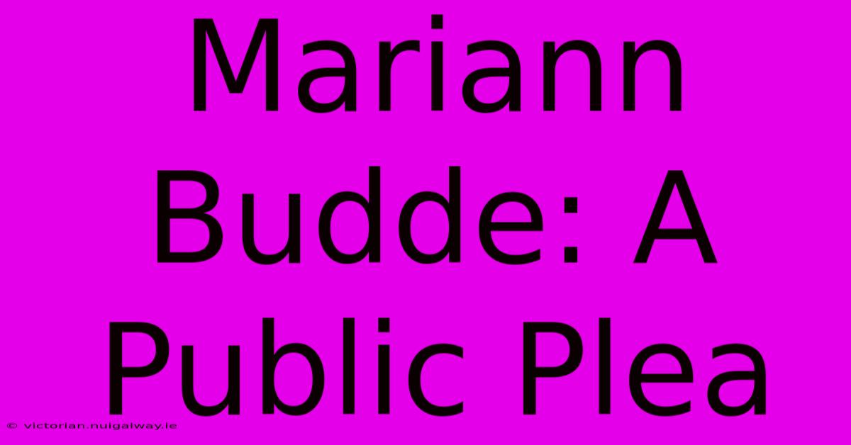 Mariann Budde: A Public Plea