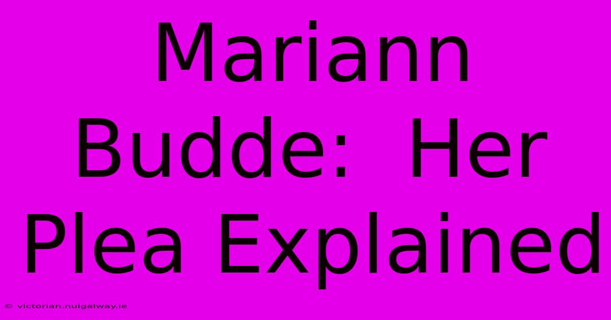 Mariann Budde:  Her Plea Explained