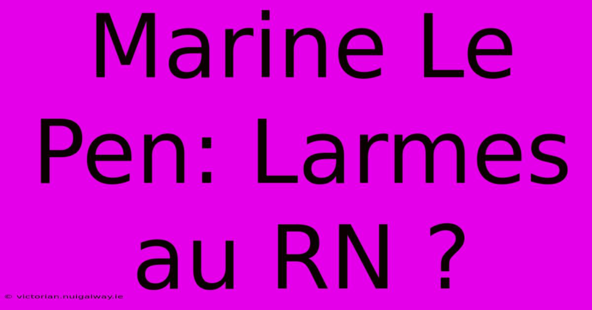 Marine Le Pen: Larmes Au RN ?