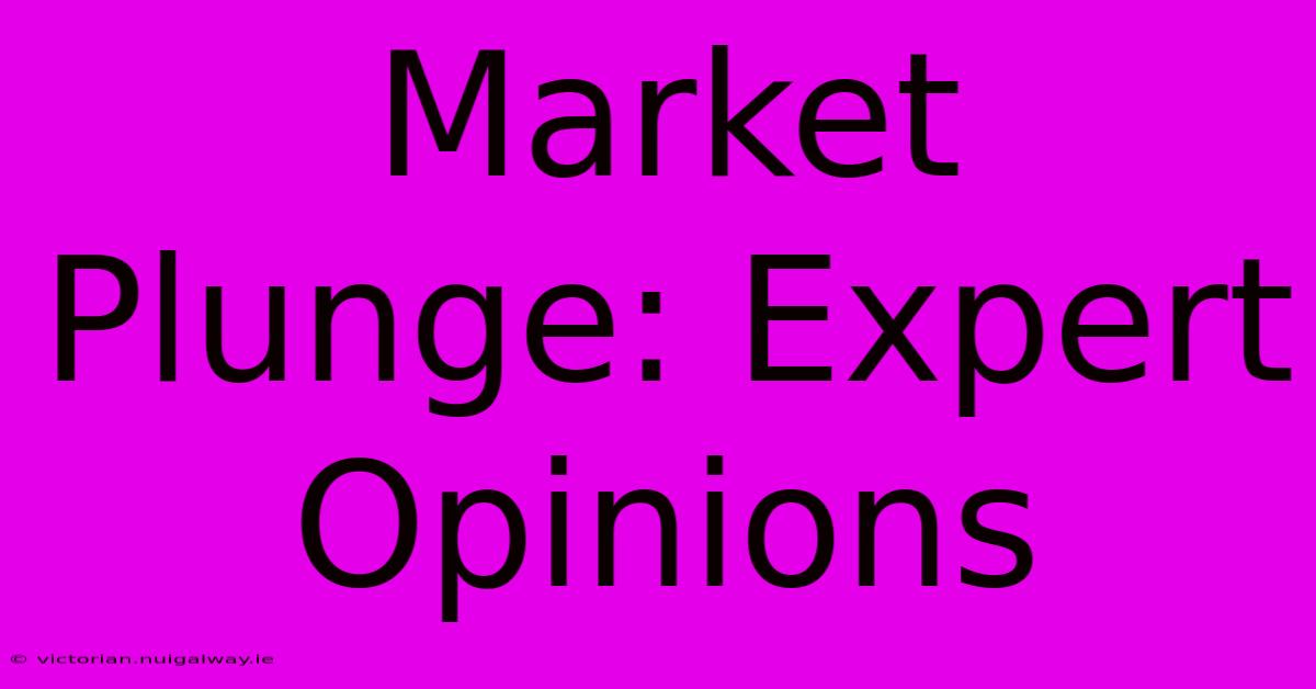 Market Plunge: Expert Opinions