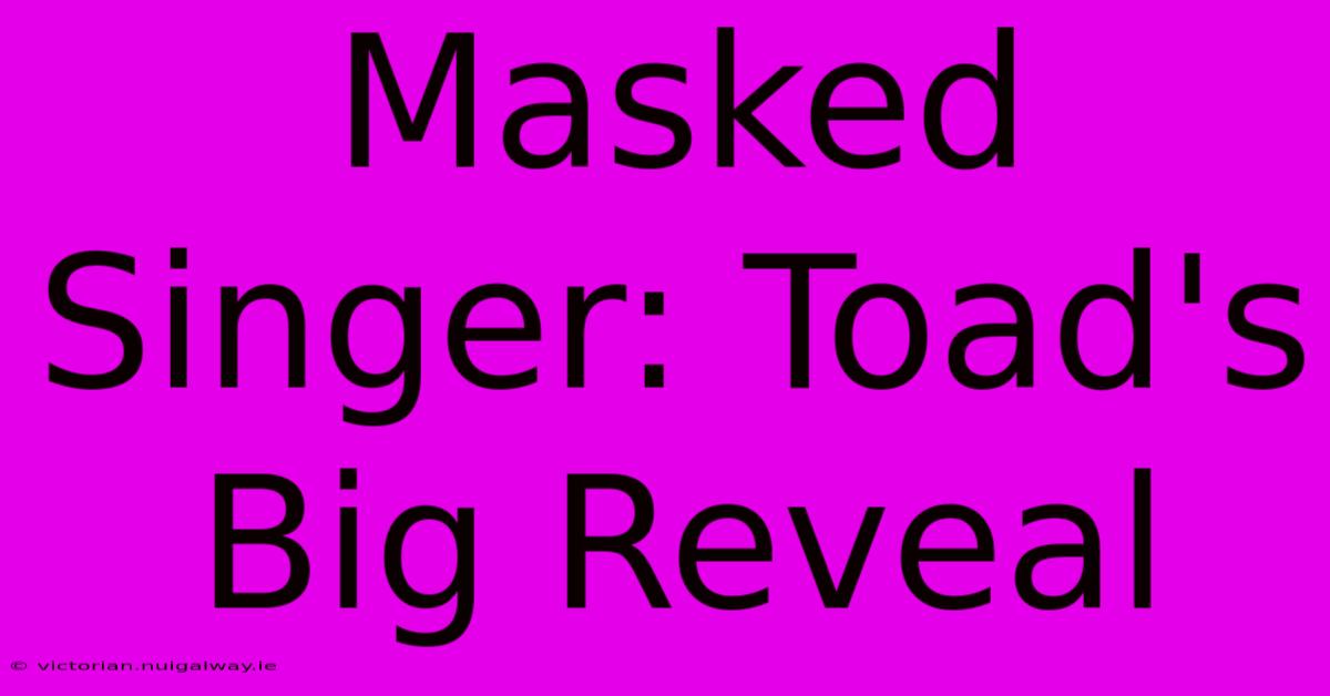 Masked Singer: Toad's Big Reveal