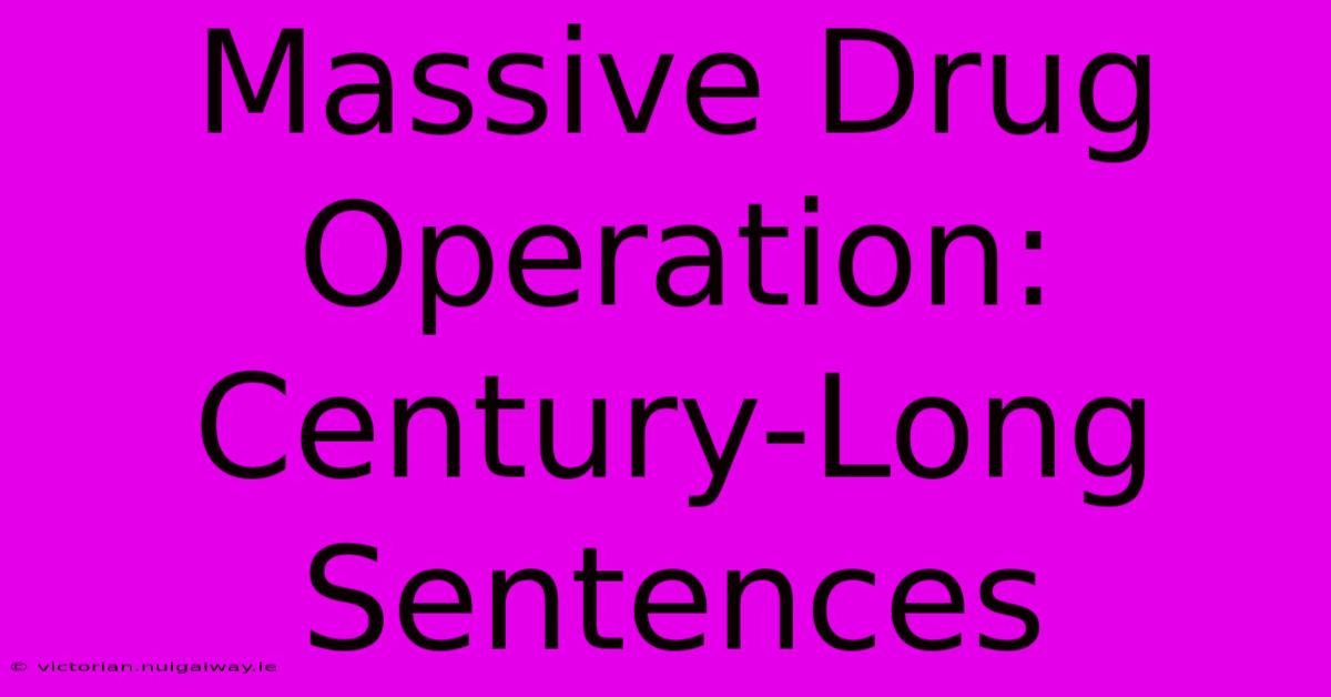 Massive Drug Operation: Century-Long Sentences