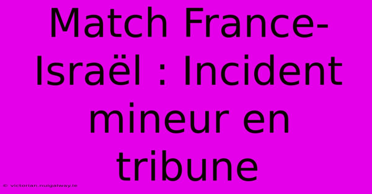 Match France-Israël : Incident Mineur En Tribune 