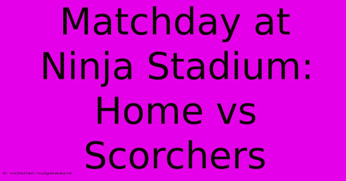 Matchday At Ninja Stadium: Home Vs Scorchers